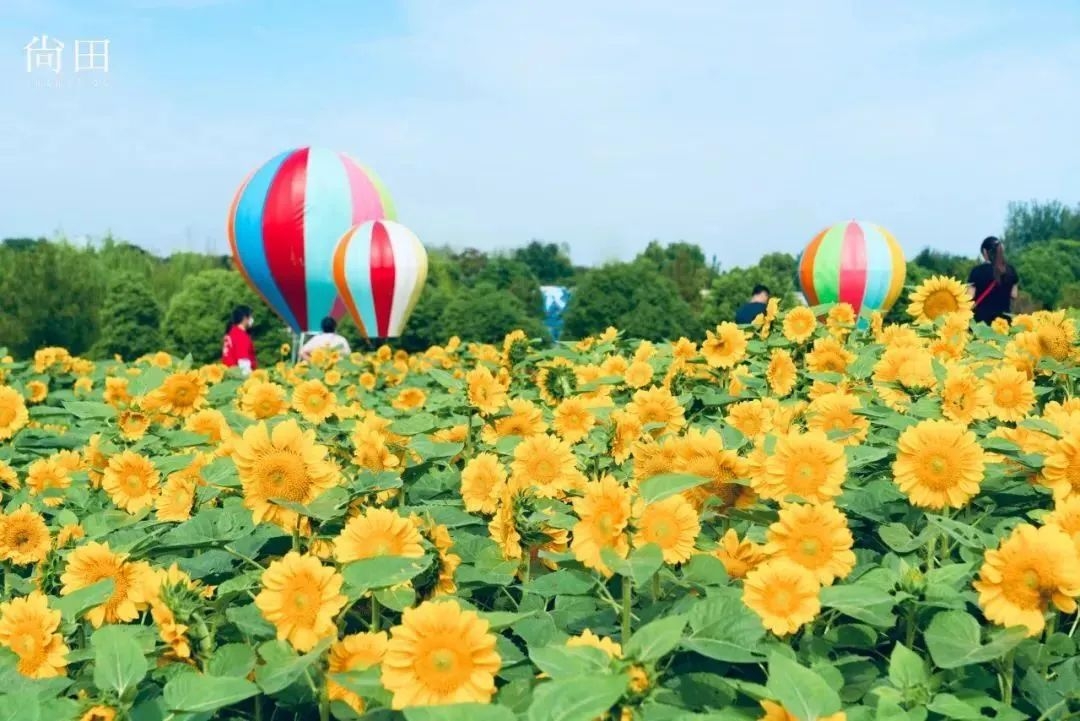 无锡有什么好玩的地方