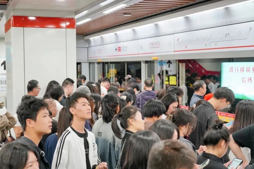 �������Ϲ���