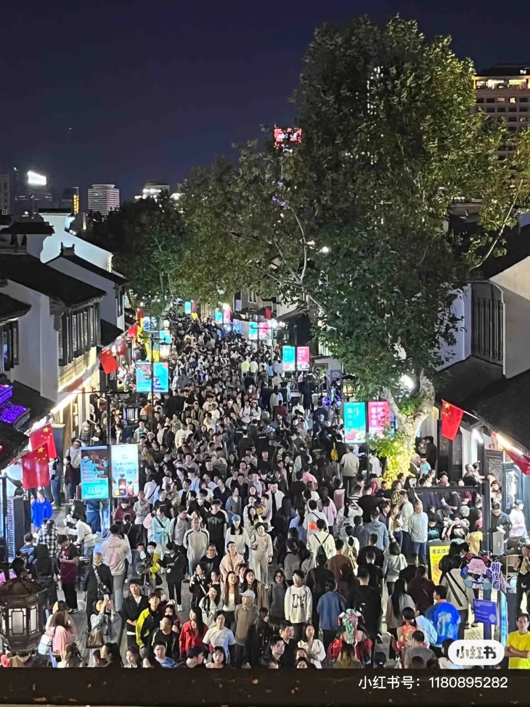 �������Ϲ���