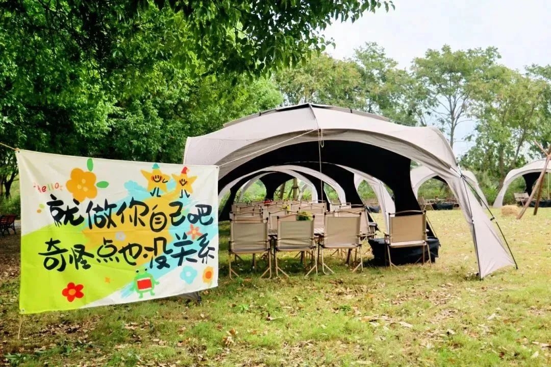 �������Ϲ���