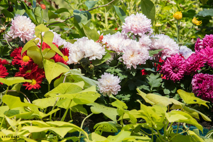 ����������