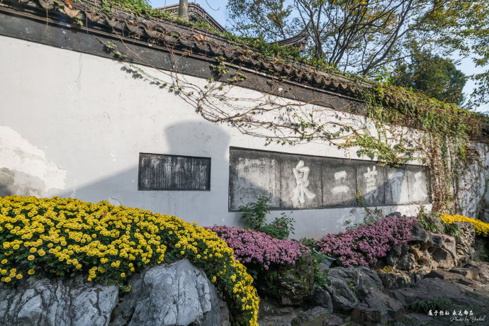 ����������