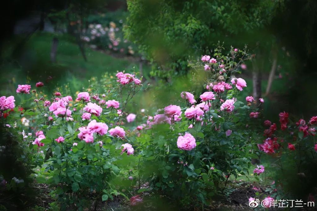 无锡旅游景点介绍