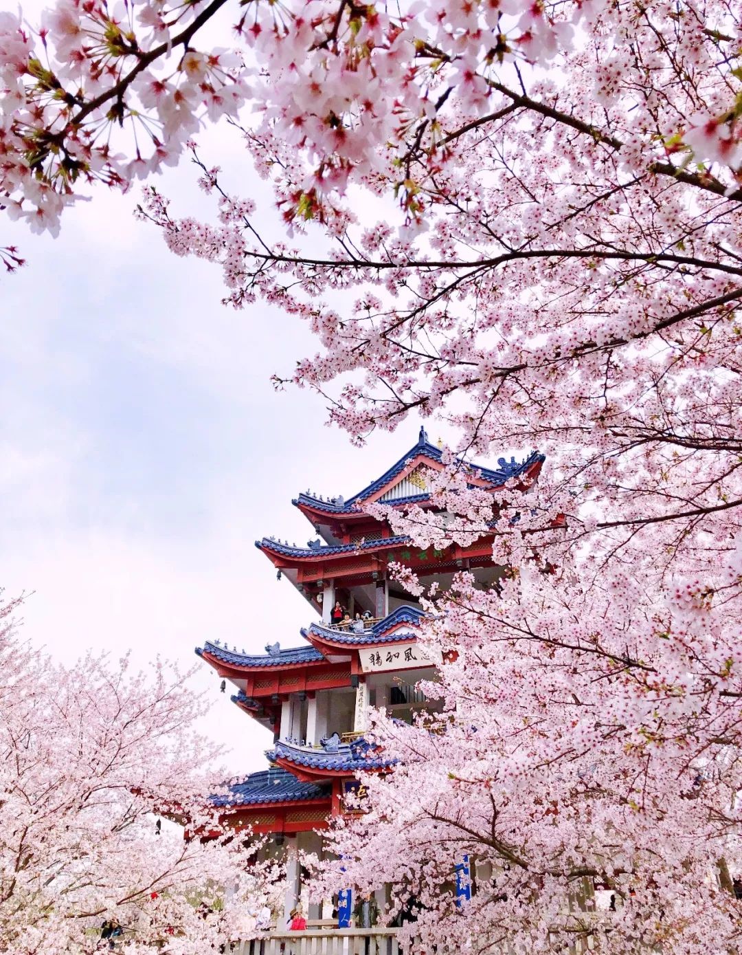 无锡旅游景点介绍