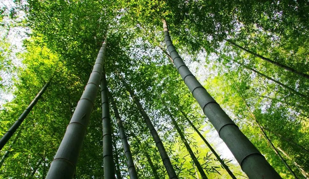 无锡旅游景点介绍