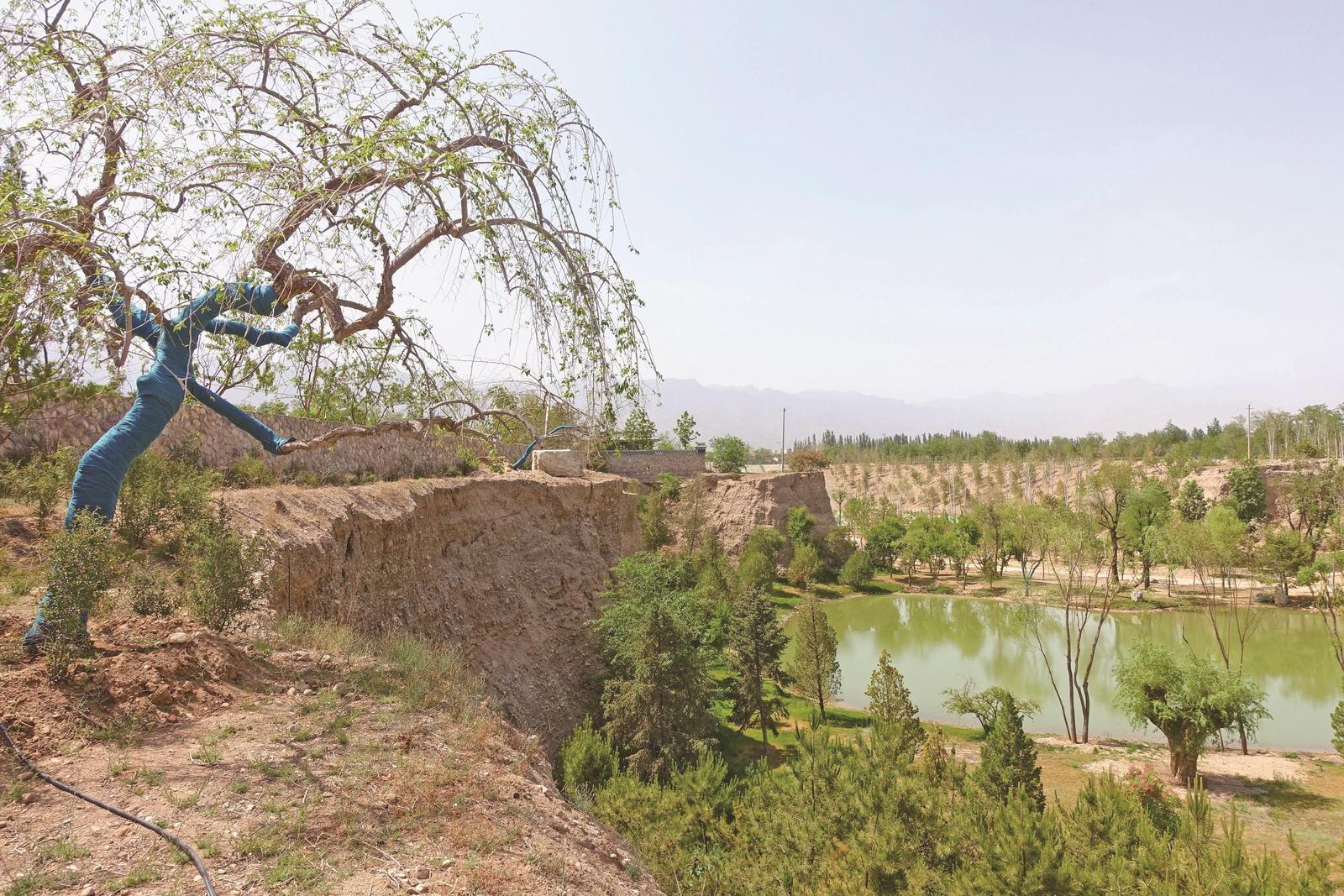 ��������������������