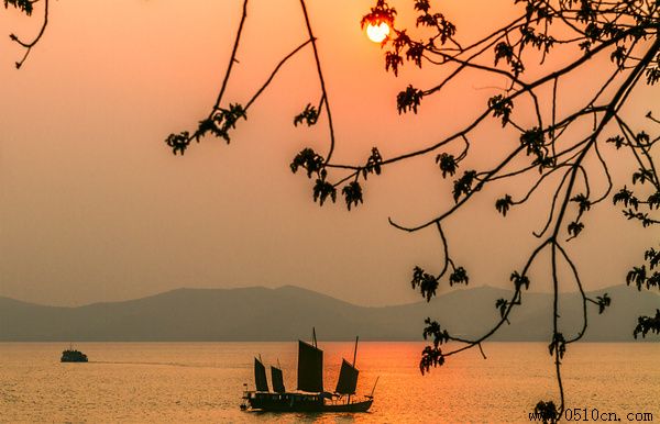 太湖白虾