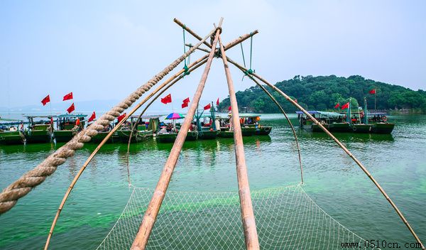太湖白虾