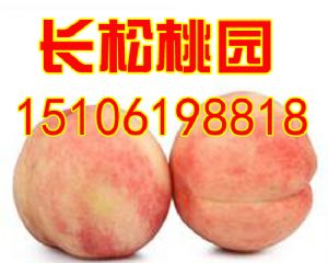 无锡桃源村:中国水蜜桃之乡产业打造美丽桃村