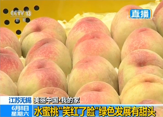 无锡水蜜桃