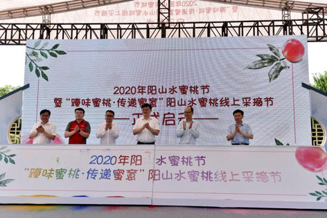 无锡水蜜桃