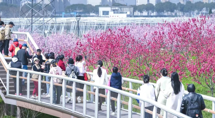 ����ˮ����